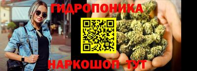 стафф Кимры