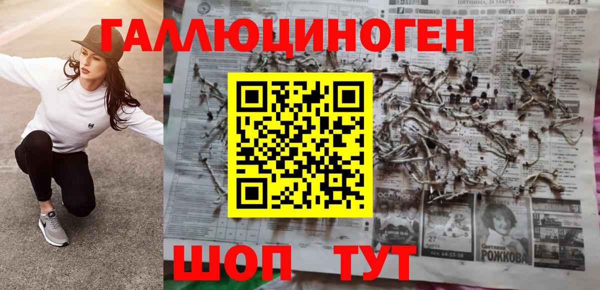 Псилоцибиновые грибы GOLDEN TEACHER  Вход с VPN  Псилоцибиновые грибы мухоморы  Корсаков 