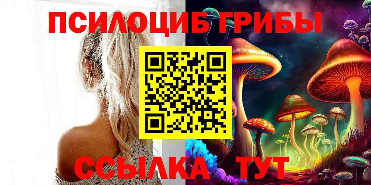 Псилоцибиновые грибы GOLDEN TEACHER Корсаков