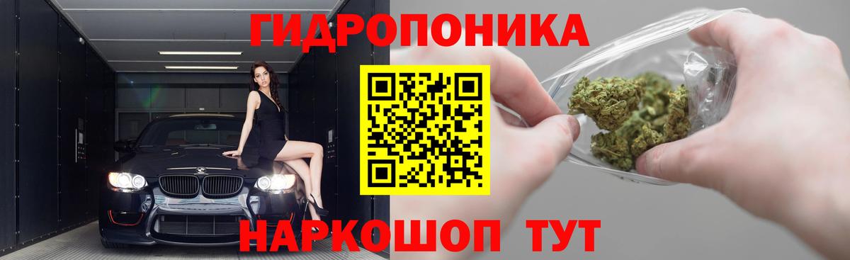 Бошки Шишки Ganja  Марихуана план  Вход с VPN  Корсаков  Канабис марихуана 